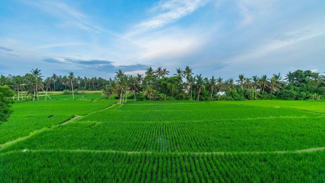 Maruan Sari Ubud Exterior foto